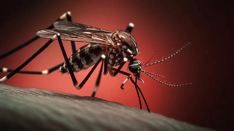 ¿Qué pasa si una persona se enferma de dengue por segunda vez?
