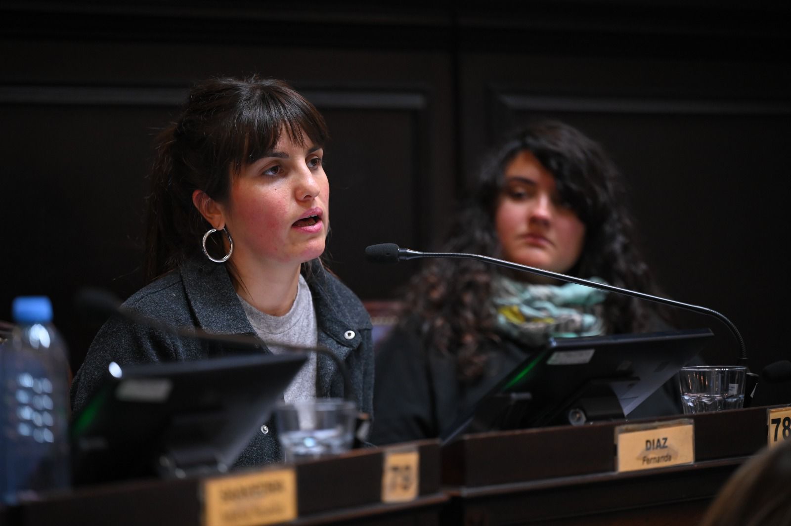 La diputada Fernanda Díaz sobre la crisis en las universidades nacionales