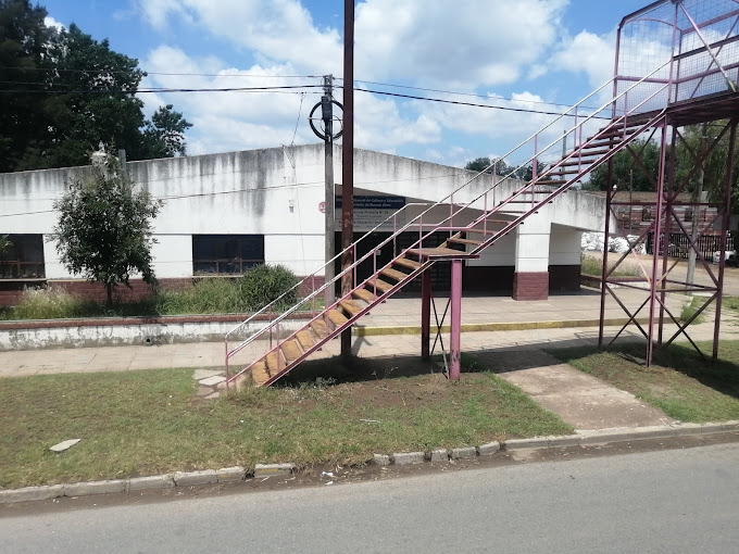 Acciones para combatir los roedores en la Escuela Primaria 26