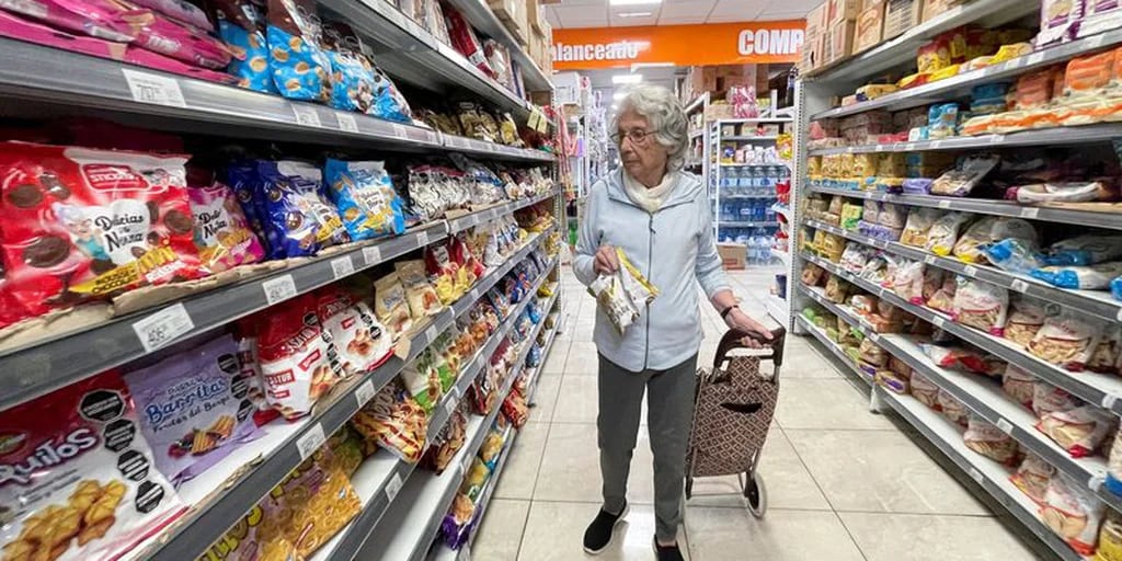 Qué pasará con las jubilaciones de ANSES si se aprueba la Ley Bases en el Senado