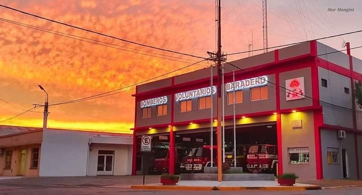 Incendio de casuarinas y ramas