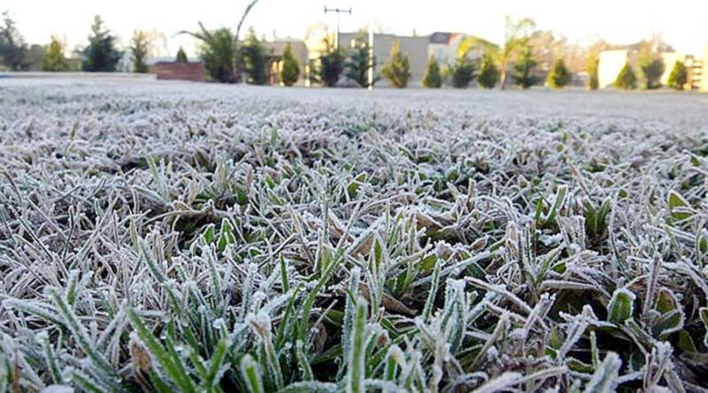 Anticipan un invierno frío y con pocas lluvias en la región pampeana