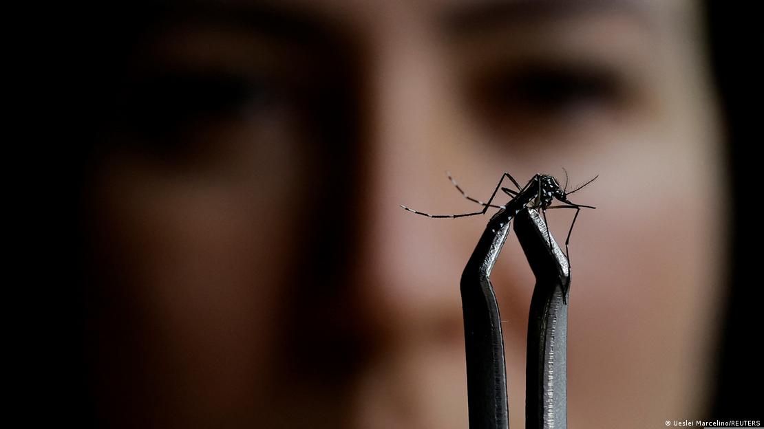 Guatemala declara emergencia nacional por epidemia de dengue