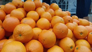 Se realizó la 6º Fiesta de la Naranja de Ombligo en San Pedro