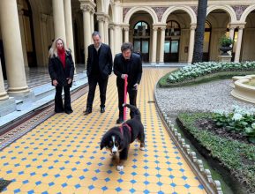 Los perros: para humanizar la imagen del Presidente.