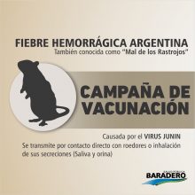  Prevención | Fiebre Hemorrágica