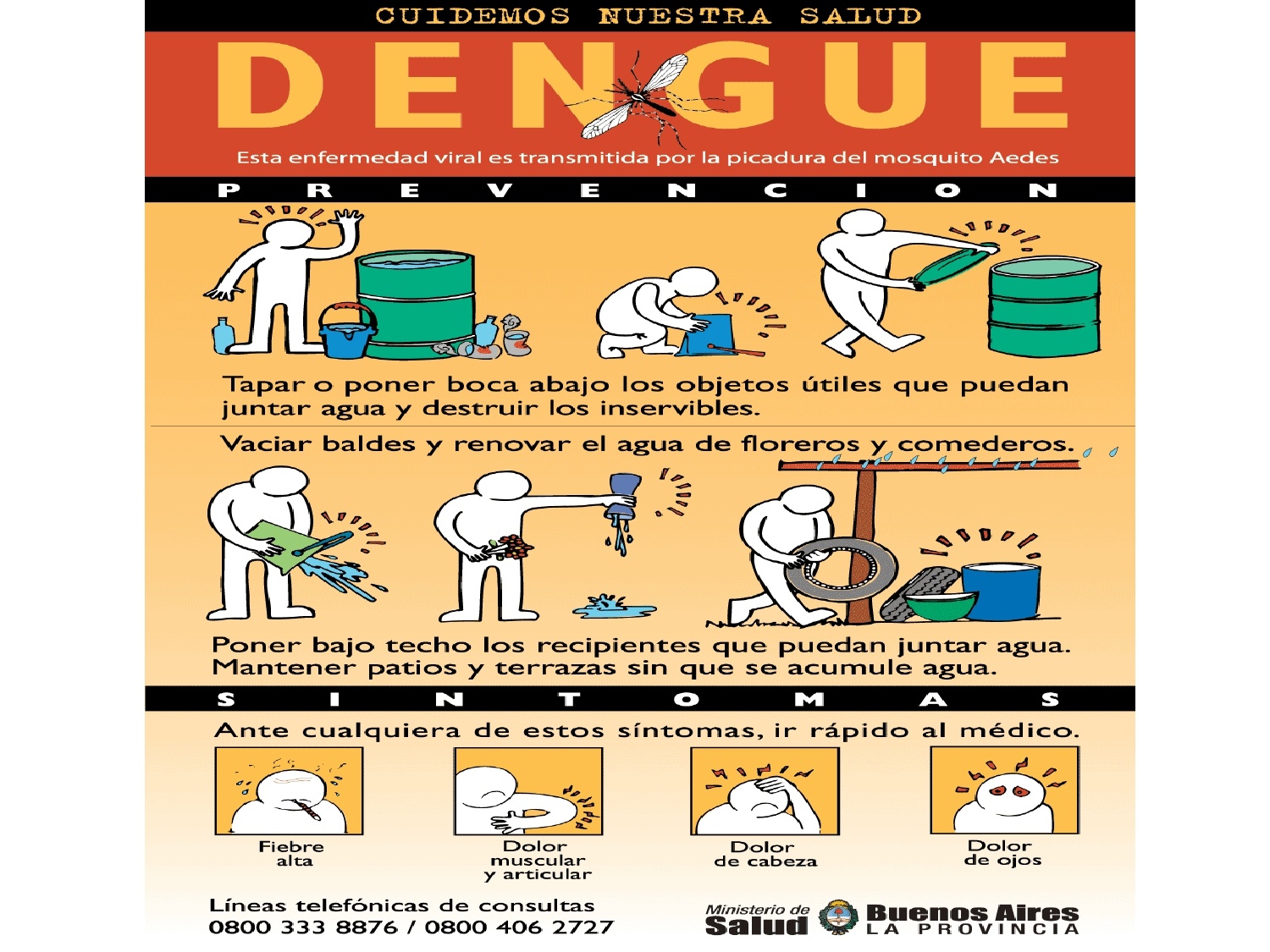 La prevención del dengue se basa en reducir la población de mosquitos.