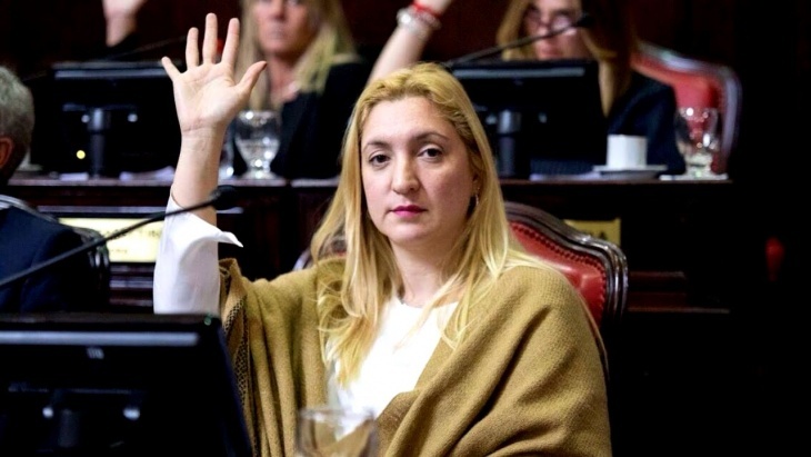La senadora Aldana Ahumada (PRO)  pide derogar la Verificación Técnica Vehicular (VTV)