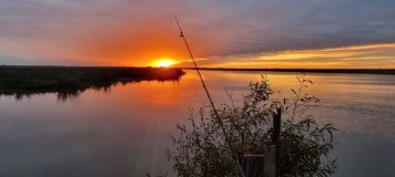 Primer Certamen literario: “Nuestro río”