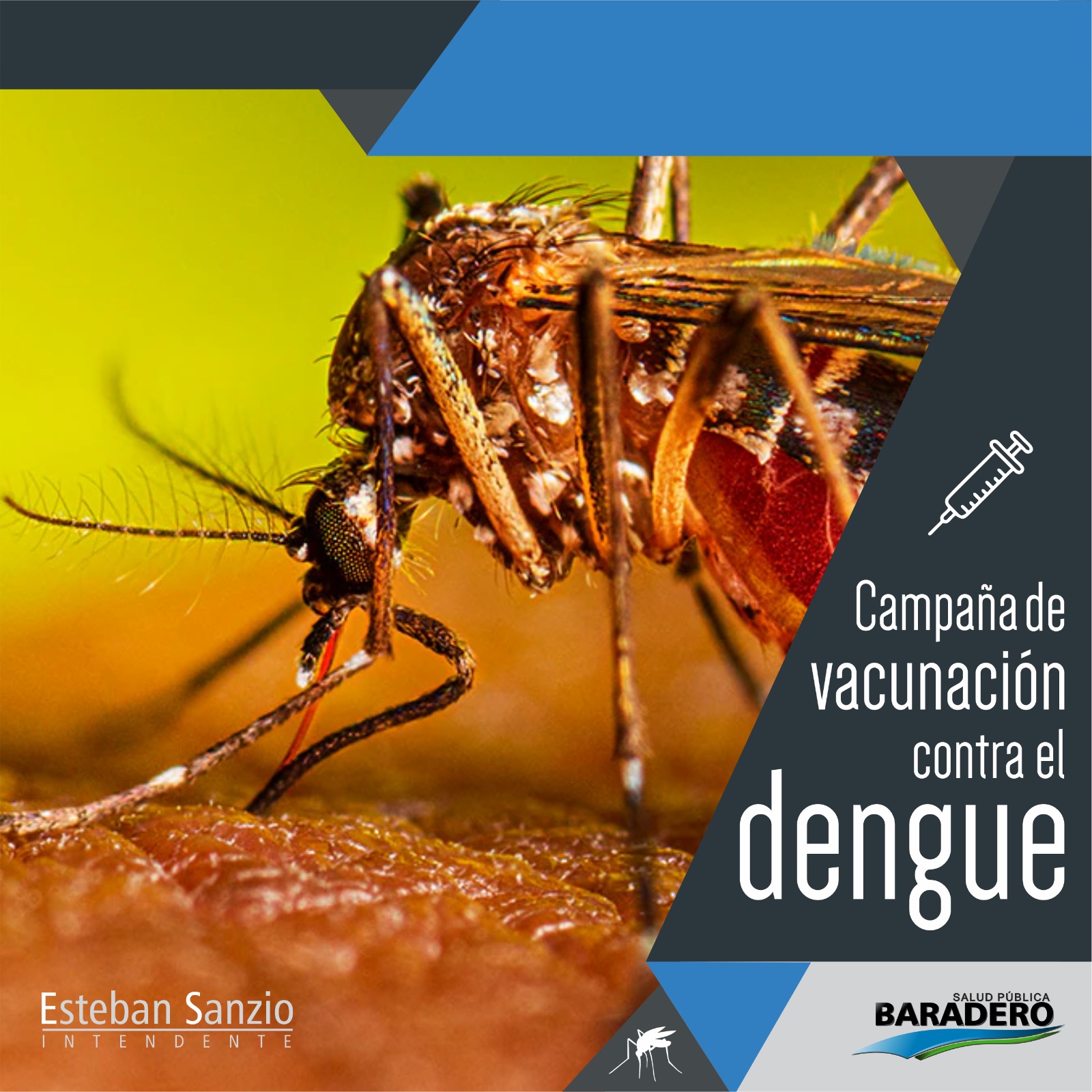 Comienza la Campaña de Vacunación contra el Dengue