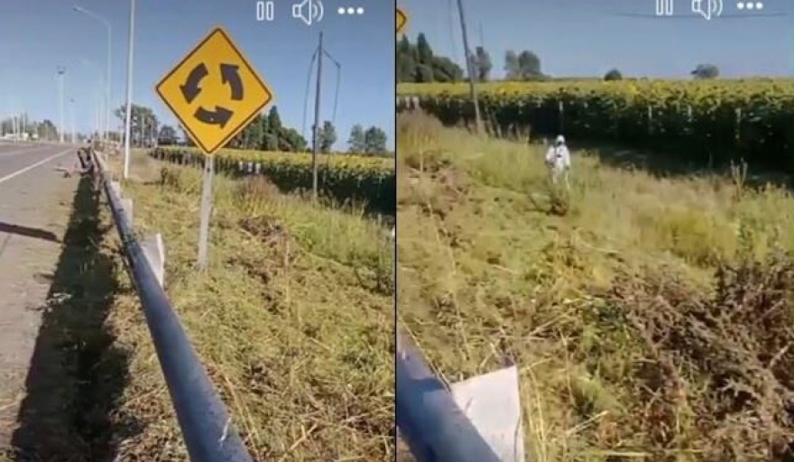 Más municipios asumen el mantenimiento de rutas nacionales ante el abandono libertario