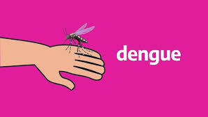 Prevención del Dengue: