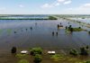 Doce municipios bonaerenses en emergencia agropecuaria por las fuertes lluvias