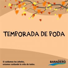 Temporada de poda de arbolado lineal urbano , comienza el 1° de Mayo y finaliza el 30 de mayo.