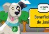 Cuenta DNI: todo lo que necesitás saber sobre los beneficios de junio