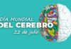 Accidente cerebrovascular y demencia: las afecciones que más dañan al cerebro