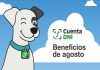La billetera del banco provincia.