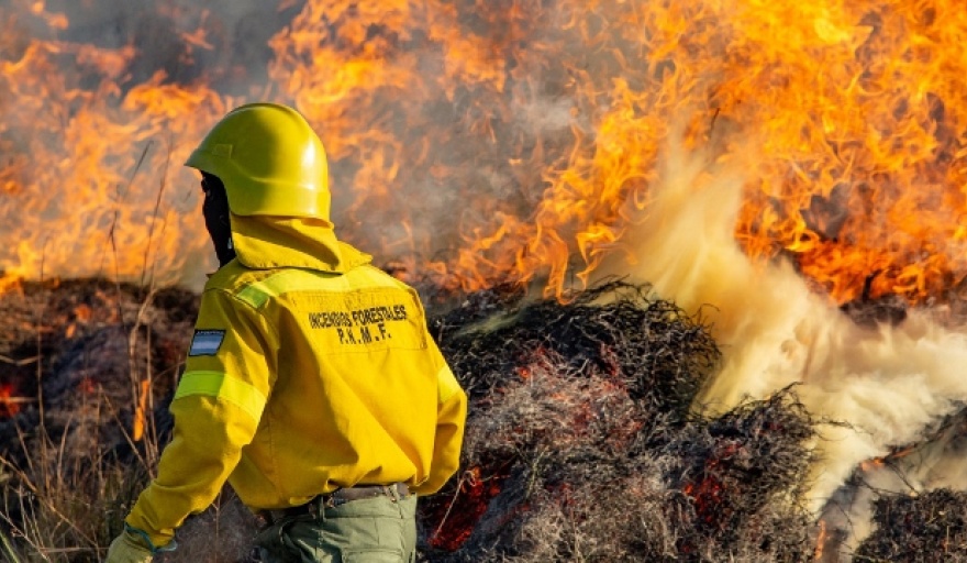 Prevención de incendios forestales: más del 95% son originados por el hombre