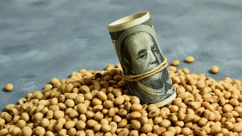 Quiénes son los 11 grandes exportadores del Agro que embolsaron U$S 1.500 millones por el negocio que les regaló Caputo