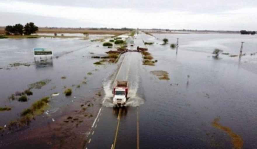 Emergencia agropecuaria en diez distritos bonaerenses por inundaciones