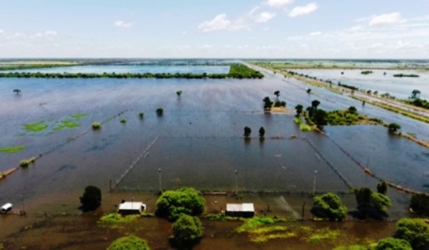 El Gobierno declaró la emergencia agropecuaria en diez distritos bonaerenses