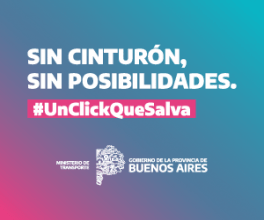 pba cinturón
