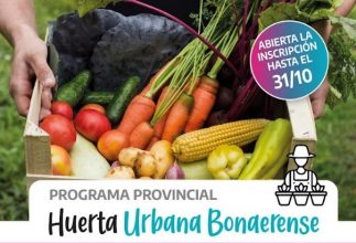 El Ministerio de Desarrollo Agrario impulsa el «Programa Huerta Urbana Bonaerense»