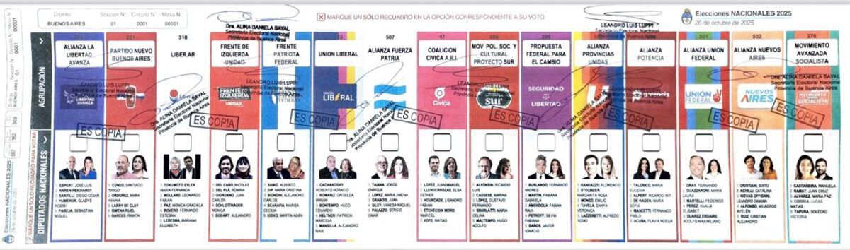 La Junta Electoral llamó a audiencia para definir si se reimprimen las boletas sin la cara de Espert