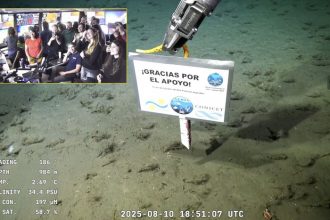 El Consejo de Ciencias Naturales destacó el impacto positivo del Streaming del Conicet