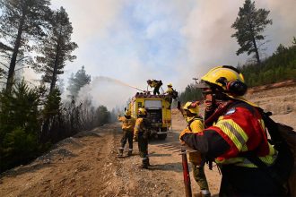 Incendios en el Sur: desde UxP señalan que Milei recortó un 70% el presupuesto del Sistema Nacional de Manejo del Fuego