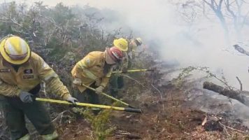 Kicillof envió recursos humanos y logísticos para colaborar en la extinción de los incendios forestales en Chubut