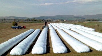 A pesar de la inédita cosecha los productores agrícolas liquidaron un 11,5% menos de dólares por cereales y granos