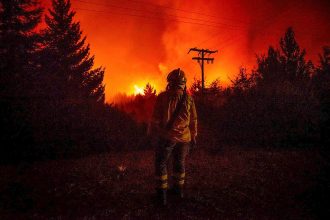 Ajuste a Parques Nacionales tras los peores incendios en 60 años: “Negacionismo, negligencia y desidia”