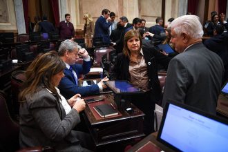 Senado: se cayó la sesión para tratar la ley que elimina las restricciones a la compra de tierras por parte de extranjeros