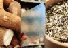 Investigadoras de la UBA crearon un material biodegradable que remplaza al plástico