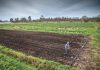 Cooperativas Federadas: Del rechazo a la extranjerización al debate por un nuevo modelo rural
