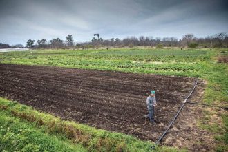Cooperativas Federadas: Del rechazo a la extranjerización al debate por un nuevo modelo rural