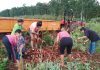 Debatirán la situación de los trabajadores agrícolas y los agricultores familiares